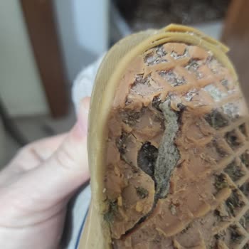 Vans Ayakkabısının Bir Ayda Tabanı Yarıldı, Üstü Yırtıldı Ve Mağaza Cevap Vermedi