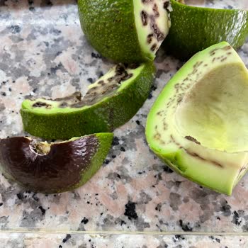 Sanal Markette Bozulmuş Ürün Teslimatı Müşteri Memnuniyetini Bozuyor