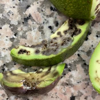 Sanal Markette Bozulmuş Ürün Teslimatı Müşteri Memnuniyetini Bozuyor