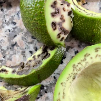 Sanal Markette Bozulmuş Ürün Teslimatı Müşteri Memnuniyetini Bozuyor