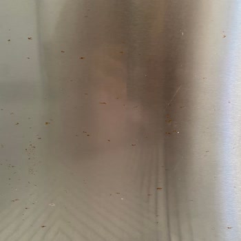 Bosch Buzdolabı Kapaklarındaki Erken Paslanma Ve Garanti Sonrası Yardım Talebi