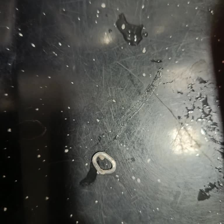 Şok Market'te Badi Piliç Tavuk Ürününün İçinde Metal Parça Bulundu