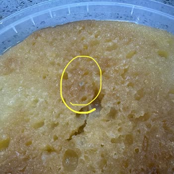 Müşteri Şikayeti: Bozulmuş Ekmek Kadayıfı Ve Geri Ödeme Talebi
