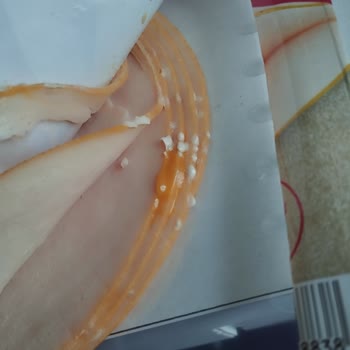 Harras Dilimli Hindi Füme Ürününde Erken Küflenme Ve Soğuk Zincir Denetim Eksikliği