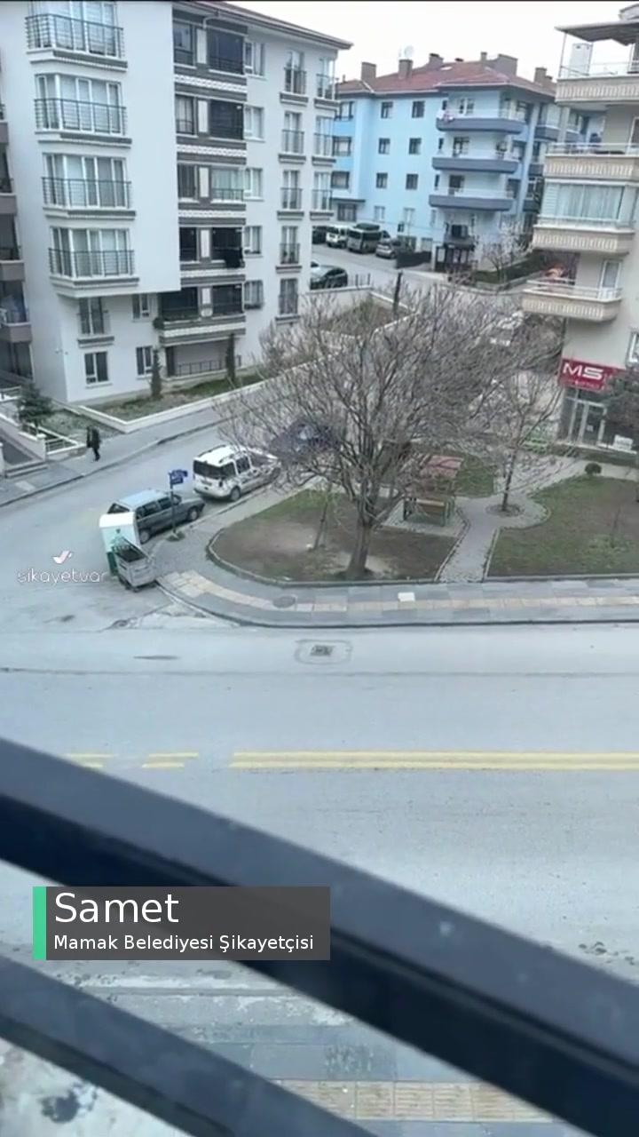 Mamak Kanatlı Hayvanlar, Kedi Ve Köpek Sokak Hayvanlarının Beslenmesi İle İlgilenilsin! videonun kapak resmi