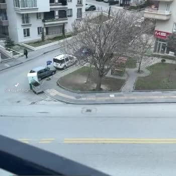 Mamak Kanatlı Hayvanlar, Kedi Ve Köpek Sokak Hayvanlarının Beslenmesi İle İlgilenilsin!