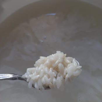 Yayla Baldo Pirinçte Anormal Doku Ve Gıda Güvenliği Endişesi