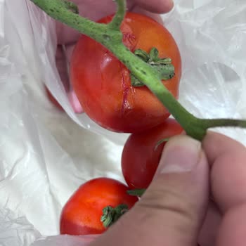 Trendyol’da Ezik Sebze Ürünleri Ve İade Sorunu