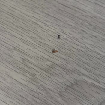 Montaj Hatası Ve Ürün Kusurlarıyla Mağduriyet