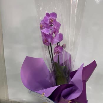 Üç Kez Ayıplı Orkide Gönderildi, Doğum Günü Kutlaması Bozuldu