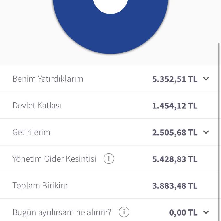 Agesa Bireysel Emeklilikte Yatırdığım Ana Para Kesintilerle Yok Oldu