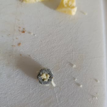 Enka Tost Peynirinde Vida Bulunması Kabul Edilemez