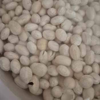 Getir Üzerinden Aldığım Şeker Fasulyede Canlı Böcek Çıktı