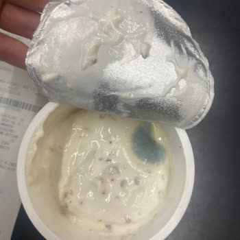 Son Kullanma Tarihi Geçmemiş Yoğurtta Küf: Sek Markasına Kalite Kontrol İhmaline Karşı Şikayet