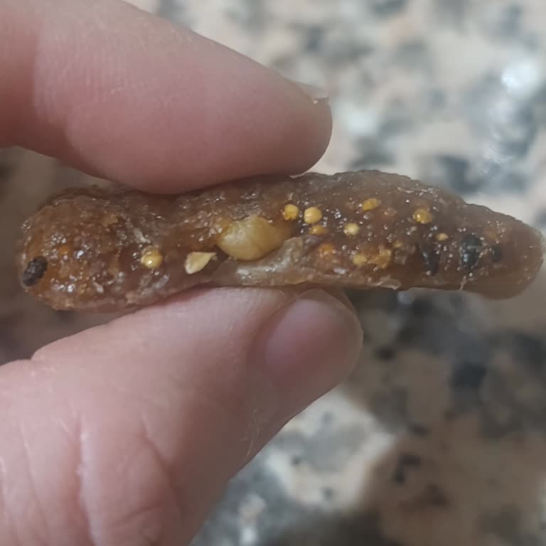 Manisa Statü Çarşı Tuğba Kuruyemiş Şubesinde Ölü Böcek Bulunan İncir