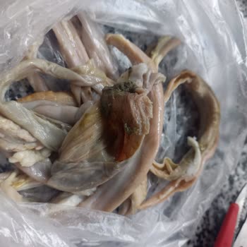 Kuzu Kokoreç Beklerken Dana Aldım Ve İade Talebim Cevapsız Kaldı