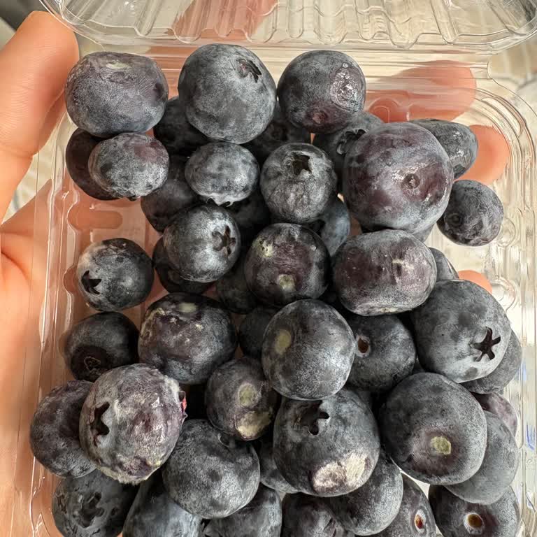 Migros’tan Küflü Blueberry Ürünü İçin İade Talebi
