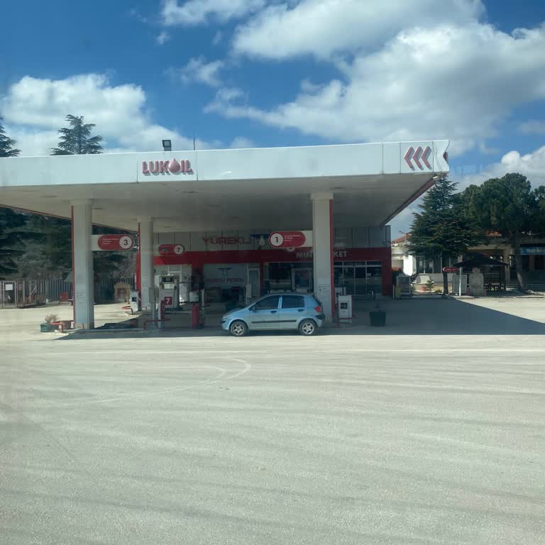 Lukoil İstasyonunda Tuvalet Hijyeni Felaketi