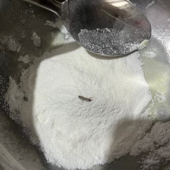 Arı Mama’da Böcek Tespiti Bebeğin Sağlığını Tehdit Ediyor