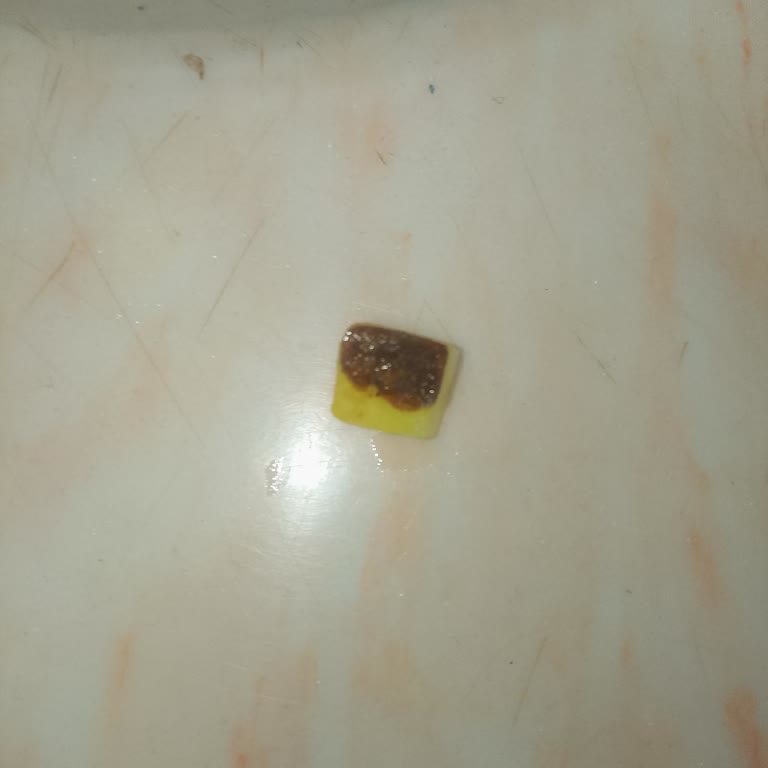 Küflü Patates Satın Alınması Sağlık Ve Hijyen Endişesi Yarattı