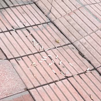 Ankara Cebeci Şubesinde Sigara İzmariti Atma Ve Çevre Kirliliği Sorunu