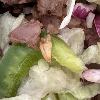 Subway Beachpark Şubesinde Biftek Bowl İçinde Kurt Bulunması Hijyen Skandalı Ve İade Talebi