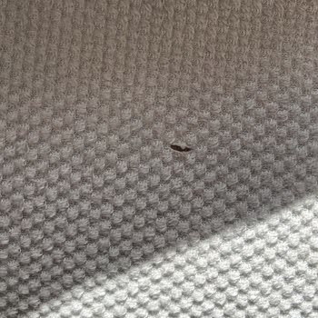 Doğtaş'tan Gelen Ürünlerde Hasar Ve Müşteri Hizmetindeki İhmal