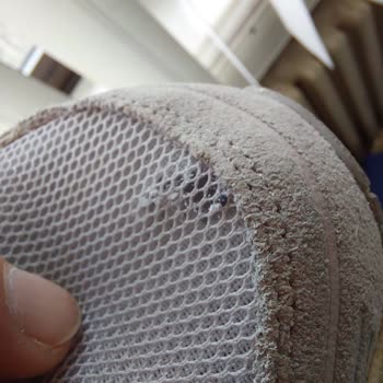 Asics Ayakkabılarında Tutarsız İade Politikası Ve Üretim Hatası Reddi