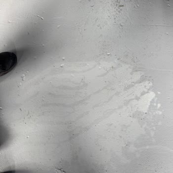 BMW X1 Aynasındaki Arma Bozulması İçin Kullanıcı Hatası İddiası Kabul Edilemez