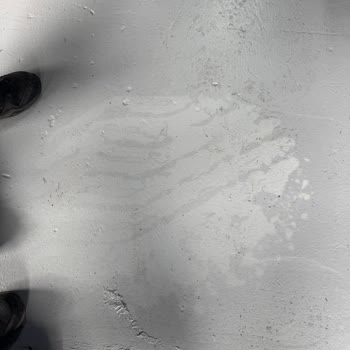 BMW X1 Aynasındaki Arma Bozulması İçin Kullanıcı Hatası İddiası Kabul Edilemez