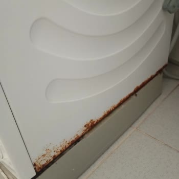 Bosch Çamaşır Makinesi Garanti Süresi İçinde Paslandı!