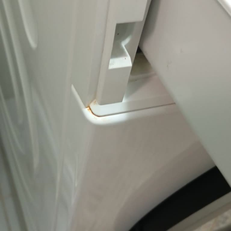 Bosch Çamaşır Makinesi Garanti Süresi İçinde Paslandı!