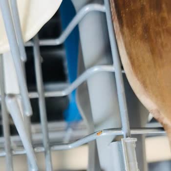 Üst Sepette Paslanma Ve Plastik Atması Nedeniyle Garanti Kapsamında Ücretsiz Değişim Talebi