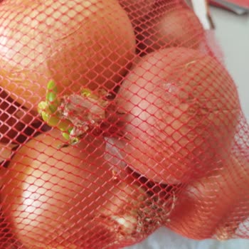 Siparişte Filizlenmiş Patates Ve Soğanlar, Tam İade Talebi