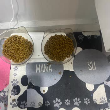 Trendyol’da Kado Pet Satıcısının Sahte Kedi Maması İçin İade Talebi