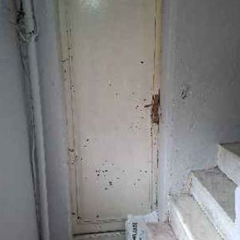 Yanlış Adrese Teslim Edilen Sipariş İçin İade Talebi