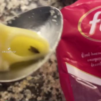 Filiz Makarna İçinden Böcek Çıktı