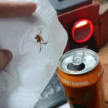 Çaykur Didi Şeftali Aromalı Soğuk Çayda Belirlenemeyen Yabancı Madde Ve Güven Kaybı