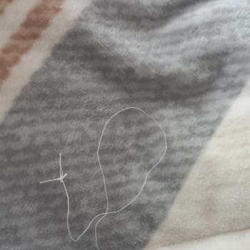 Merinos Battaniyenin Hızlı Tüy Dökmesi Ve Dikiş Sorunu