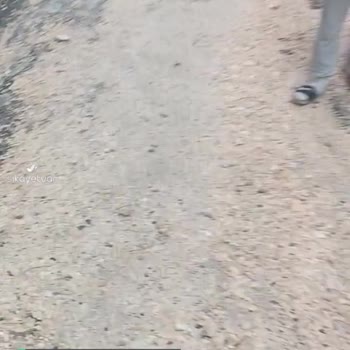 Urfa'nın Halli Bu İşte!