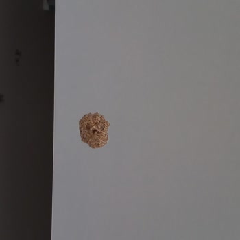 Berlin Nakliyat’ta Dikkatsiz Taşıma Ve Sigorta Sorumluluğu Reddi