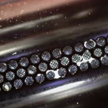 Servis Sonrası Apple Watch’ta Oluşan Hoparlör Boya Hasarı Ve Değişim Talebi