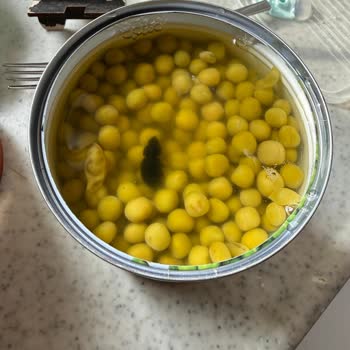 Yurdum Konserve Bezelyede Hamam Böceği: Hijyen Skandalı Ve Tazmin Talebi