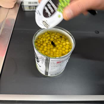 Yurdum Konserve Bezelyede Hamam Böceği: Hijyen Skandalı Ve Tazmin Talebi