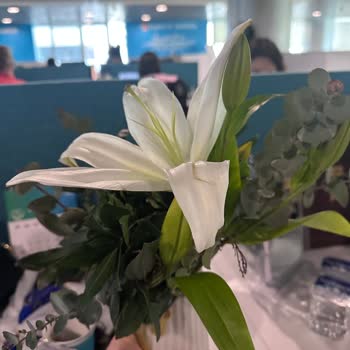 Çiçek Sepeti Ürünün Kalitesizliği, Görsel Uyuşmazlığı Ve Vazo Denge Sorunu