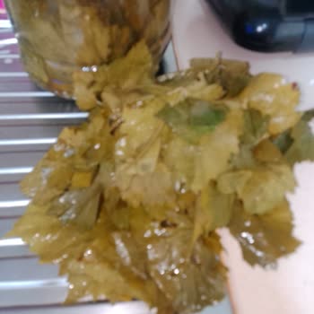 Ege_bahçesi_ Hiçbir Şekilde Cevap Verilmedi