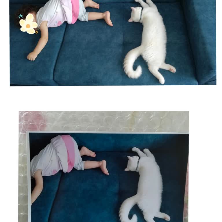 Hatalı Fotoğraf Baskıları Ve Yetersiz Çözüm Teklifi