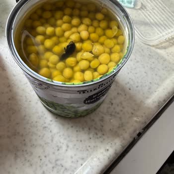 Yurdum Bezelye Konserve'de Hamam Böceği Bulundu