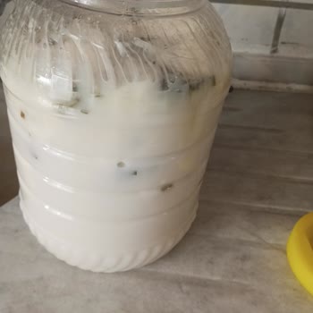 Bozuk Otlu Peynir Gönderimi Ve Cevapsız Şikayet, Tam İade Talebi