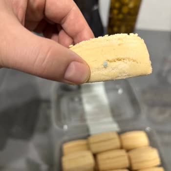 Nimet Kurabiyesinde Mavi Yabancı Cisim